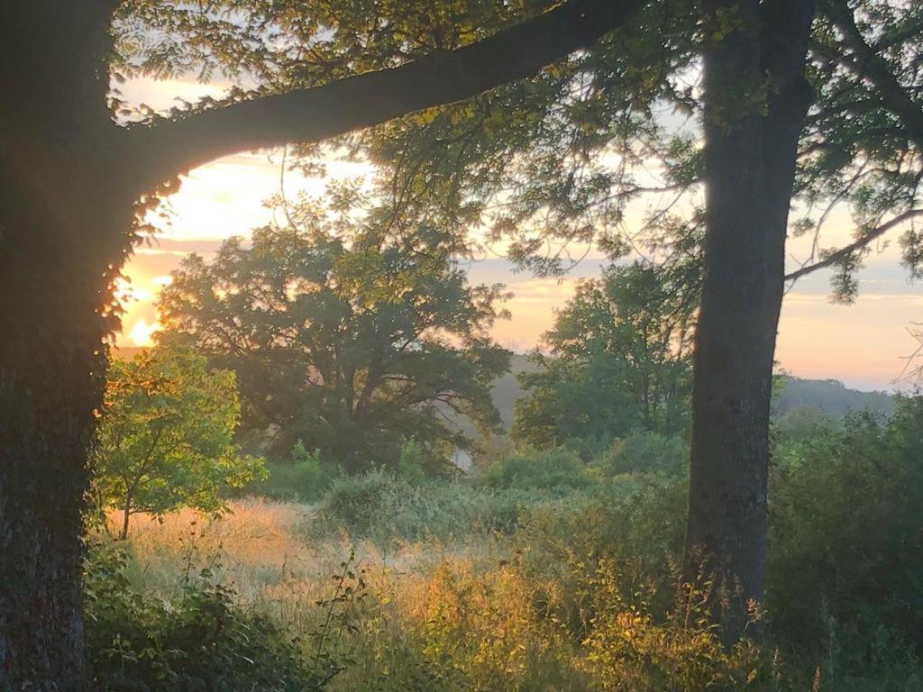 Domaine La Faix, Gite La Forestiere Saint-Plaisir Bagian luar foto
