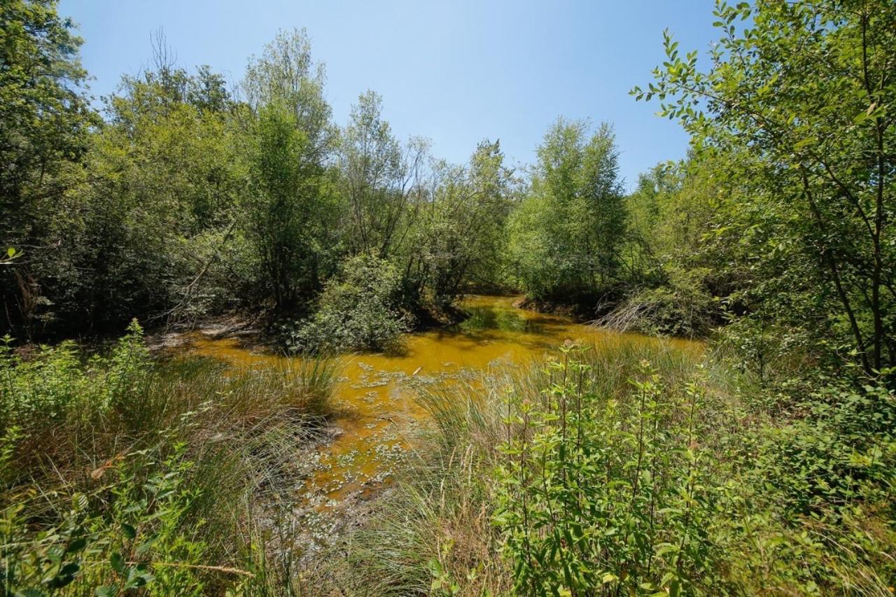 Domaine La Faix, Gite La Forestiere Saint-Plaisir Bagian luar foto