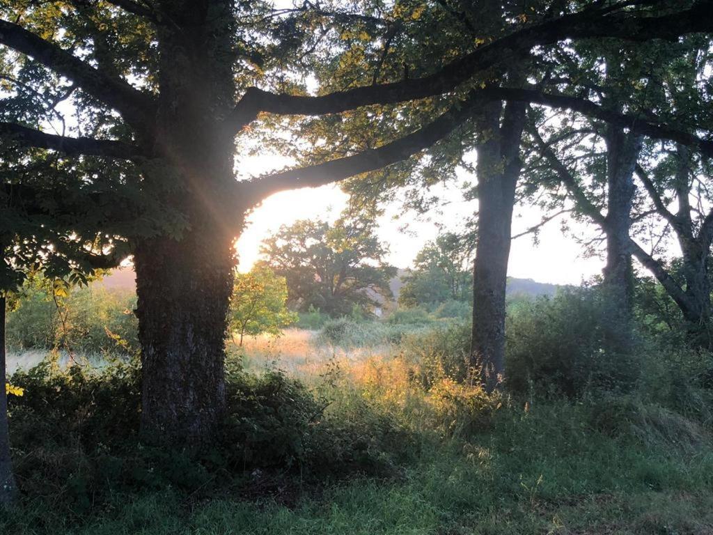 Domaine La Faix, Gite La Forestiere Saint-Plaisir Bagian luar foto